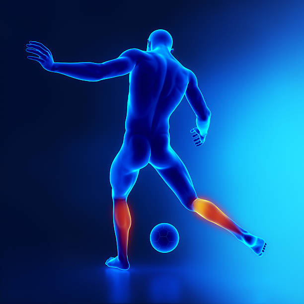 istock Strained calf muscle concept in x-ray 156872378