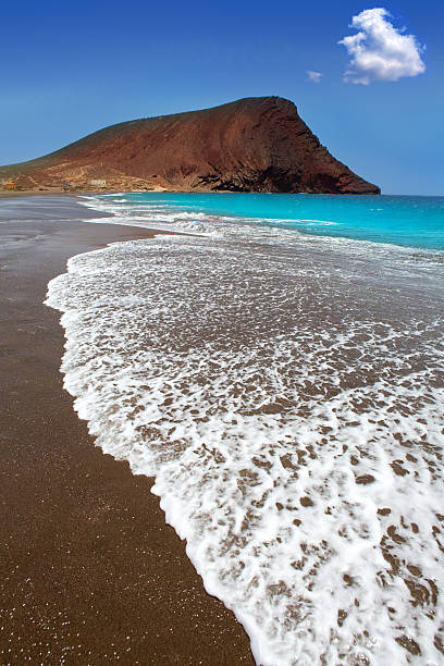 istock Beach Playa de la Tejita in Tenerife 156872394