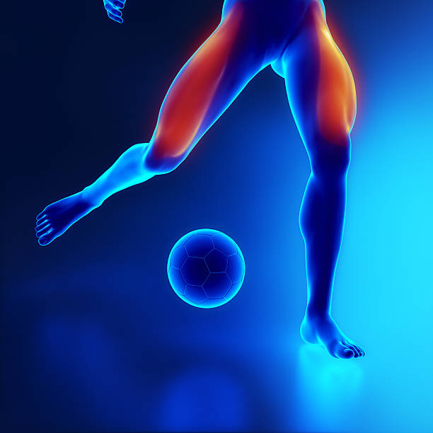 istock Sporstman quadriceps leg muscle 156872437