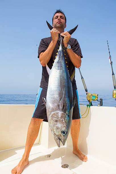 big Bluefin tuna catch by fisherman on boat trolling big Bluefin tuna catch by fisherman on boat trolling posing on deck big game fishing stock pictures, royalty-free photos & images