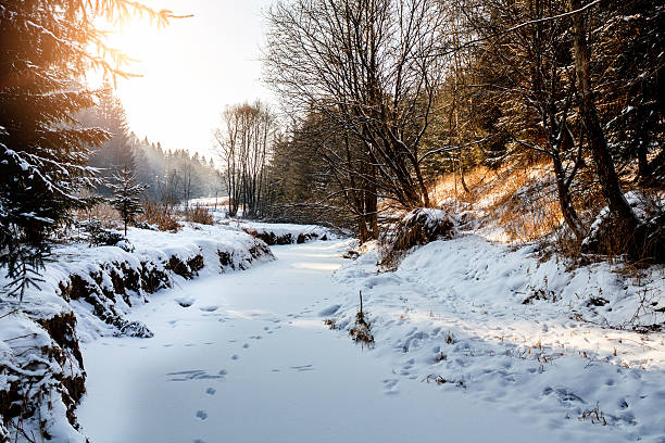 istock Sunny morning in winter landscape 156872861