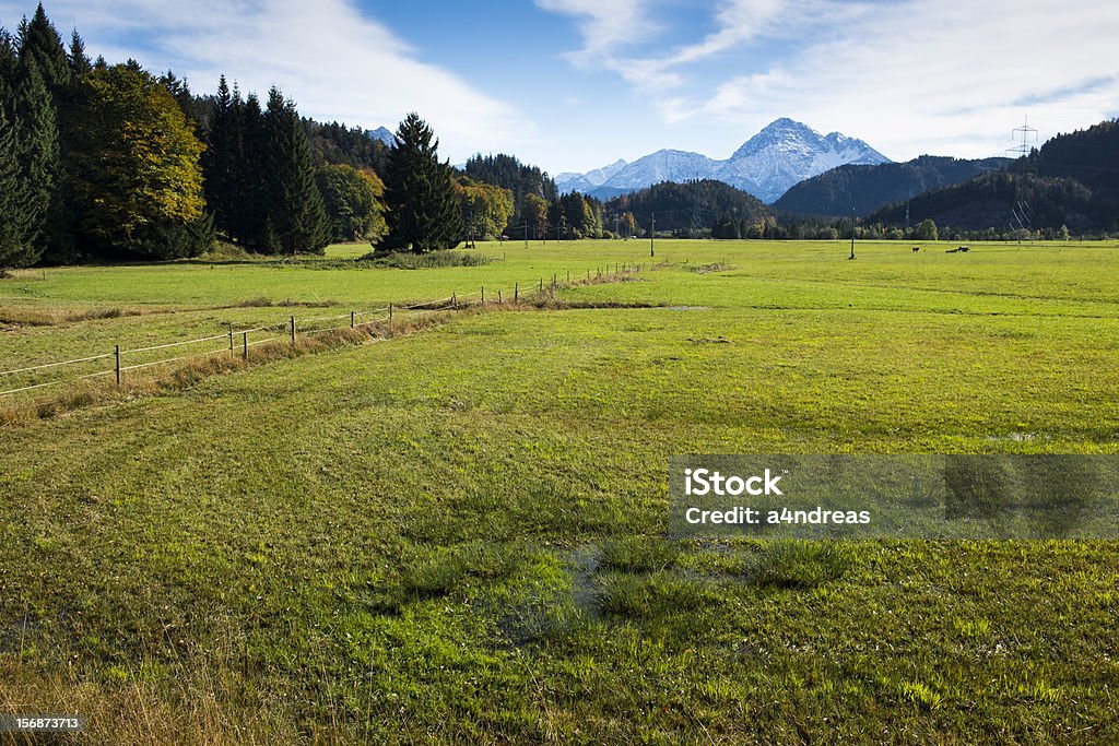 swamp and meadow at autumn with sky swamp and meadow at autumn with sky, clouds and mountains in austria, tyrol Autumn Stock Photo