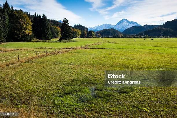 Swamp And Meadow At Autumn With Sky Stock Photo - Download Image Now - Autumn, Blue, Bog