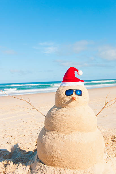 istock Clean snowman on empty sunny beach with ocean in background 156873896
