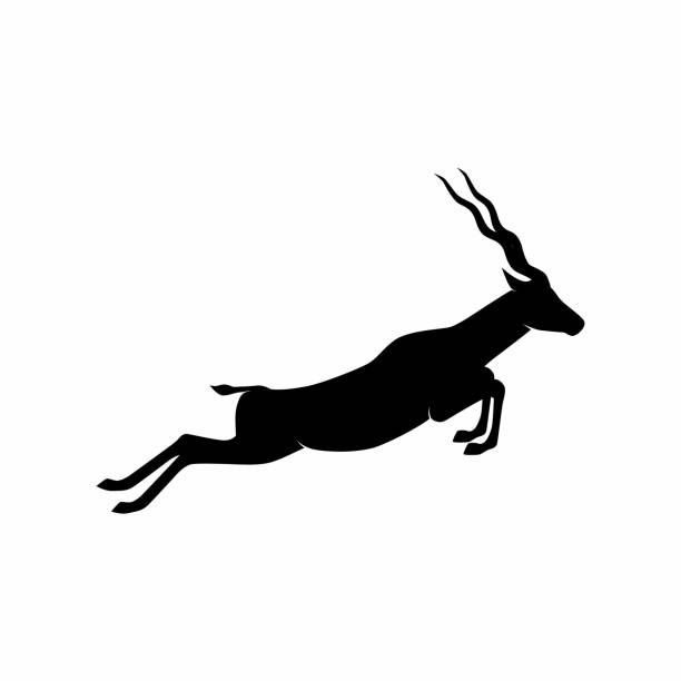 illustrazioni stock, clip art, cartoni animati e icone di tendenza di logo vettoriale della silhouette dell'antilope - impala