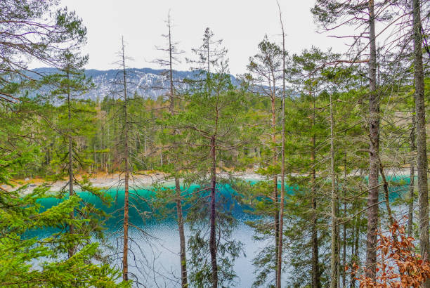 istock Lake Untersee Bavaria with Forest in Foreground 1568746288
