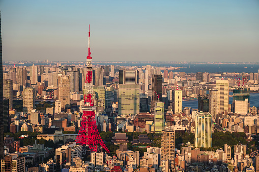 Tokyo urban landscape