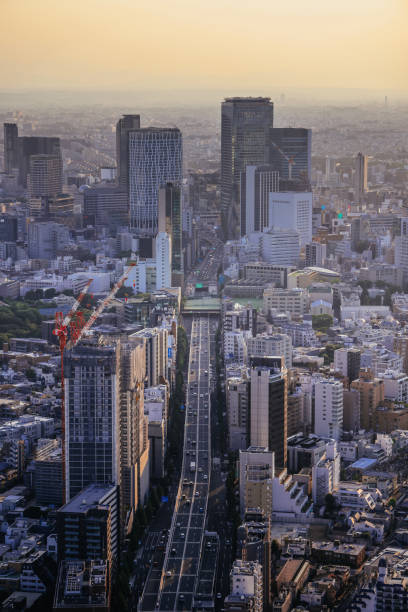 istock Tokyo Japan city 1568755869