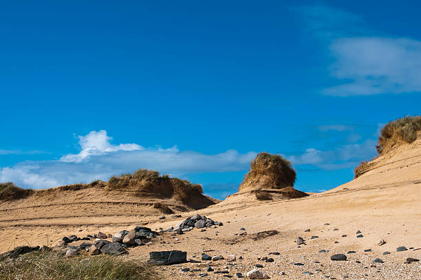 istock Landscape, Sand dunes, Wind sculped, Traigh Mhor beach 156878398