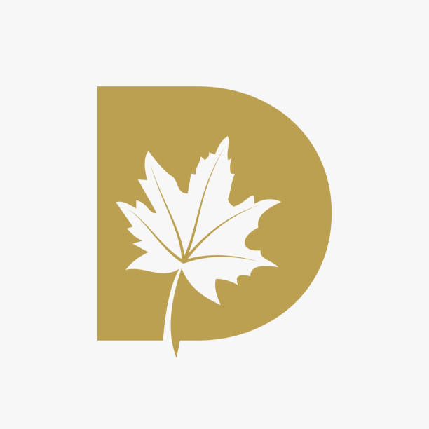 Letter D Maple Leaf Elegant Logo. Maple Leaf Logotype Vector Template Letter D Maple Leaf Elegant Logo. Maple Leaf Logotype Vector Template algonquin provincial park stock illustrations