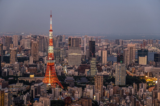 The iconic snow capped cone of Mt. Fuji overlooking the crowded cityscape and skyscrapers of downtown Tokyo.