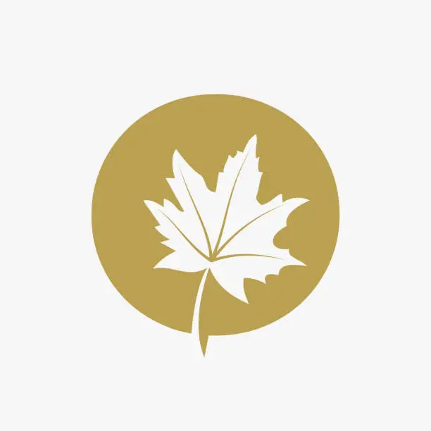 Vector illustration of Letter O Maple Leaf Elegant Logo. Maple Leaf Logotype Vector Template