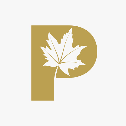 Letter P Maple Leaf Elegant Logo. Maple Leaf Logotype Vector Template