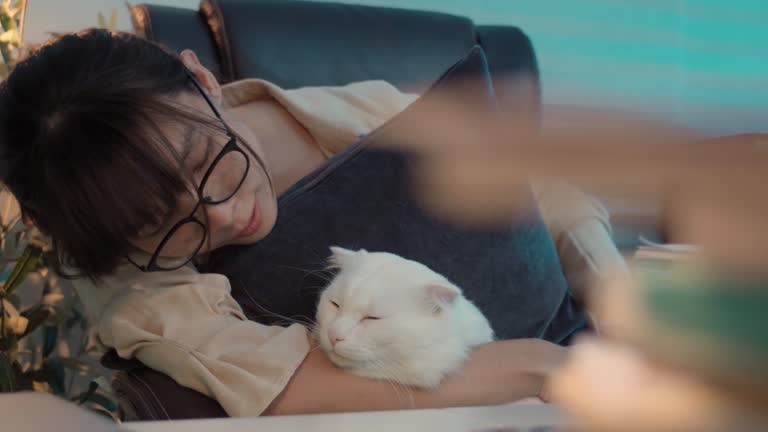 Asian young woman stroking a cat on her desk at home,Little best friends.