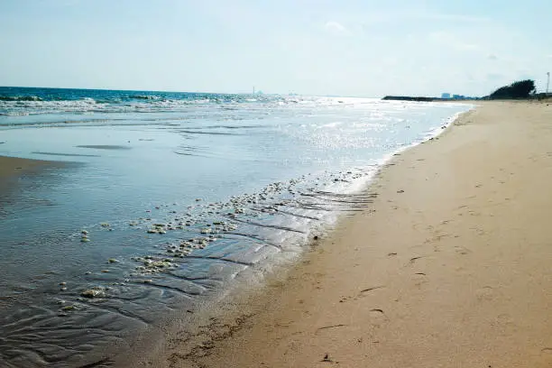 thai pattaya sea