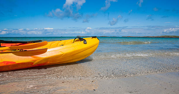 istock Colourful canoe on wild beach 156883434