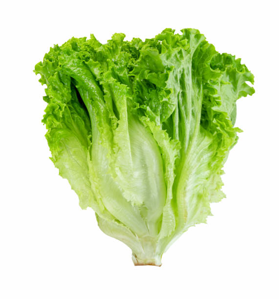 istock Lettuce leaf isolated on white background ,Green leaves pattern ,Salad ingredient 1568886517
