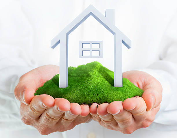istock Male hands holding a green hill with small house 156888735