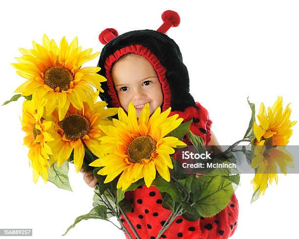 Peekaboomarienkäfer Stockfoto und mehr Bilder von 2-3 Jahre - 2-3 Jahre, Blatt - Pflanzenbestandteile, Ein Mädchen allein