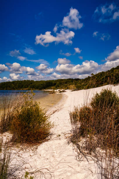 istock Australia Beach Sky Clouds Golden Coast 1568926462