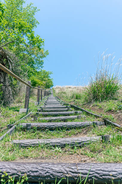istock Stairway to the Sky 1568931291