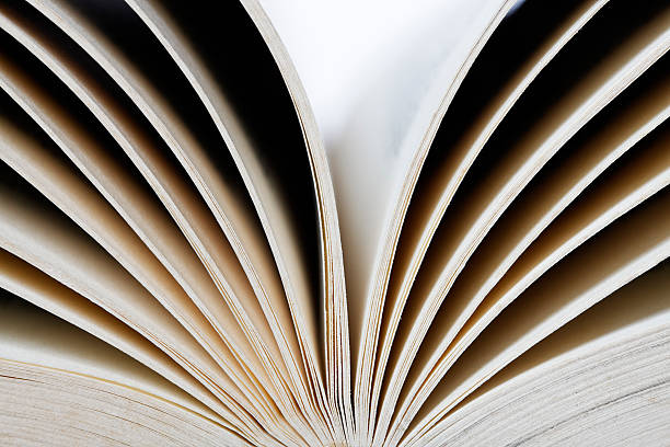 istock Extreme close up on blank pages of book 156893730