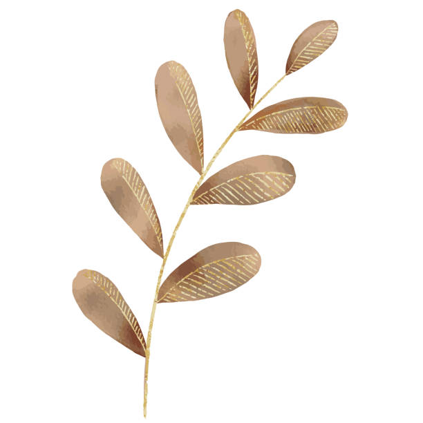 istock Gold Shining Paint Stain Hand Drawn Illustration brush stroke paint ornament decorate.gold watercolor botanical leaf. Wedding invitation border 1568946514