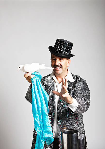 istock Smiling magician holds  white dove and a blue silk scarf 156895733