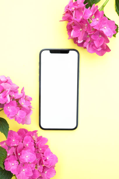 istock Blank phone screen mockup for digital invitation, design, 
presentation, flat lay with pink  hydrangea flowers, smartphone template for electronic card. . 1568964813