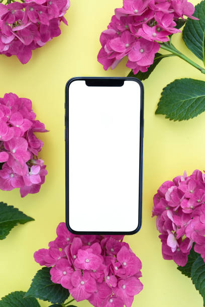 istock Blank phone screen mockup for digital invitation, design, 
presentation, flat lay with pink  hydrangea flowers, smartphone template for electronic card. . Top view, copy space for text, product place. 1568965358