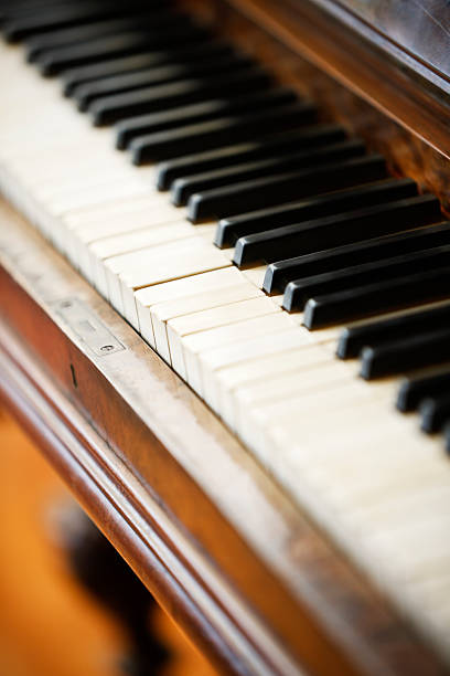 istock Ebony and ivory keys of antique German piano 156896809