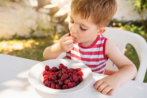 Boy eating raspberries.