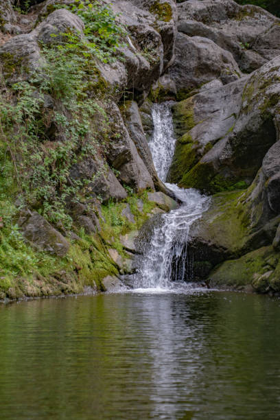 istock Small lake and waterfall. Beautiful waterfall in the forest 1569022637