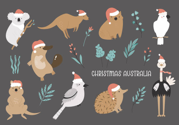 illustrations, cliparts, dessins animés et icônes de ensemble d’animaux australiens dessinés à la main dans les chapeaux de noël de noël - koala, autruche, kangourou, ornithorynque, échidné - native bird