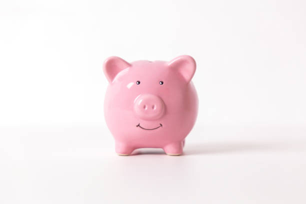 Front view close up of a pink piggy bank on white background