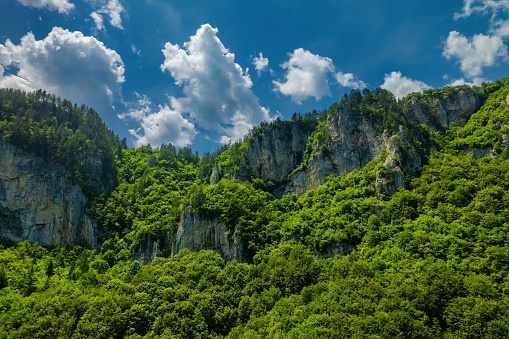 Trigrad gorge canyon of vertical marble rocks in rhodope mountains, Bulgaria