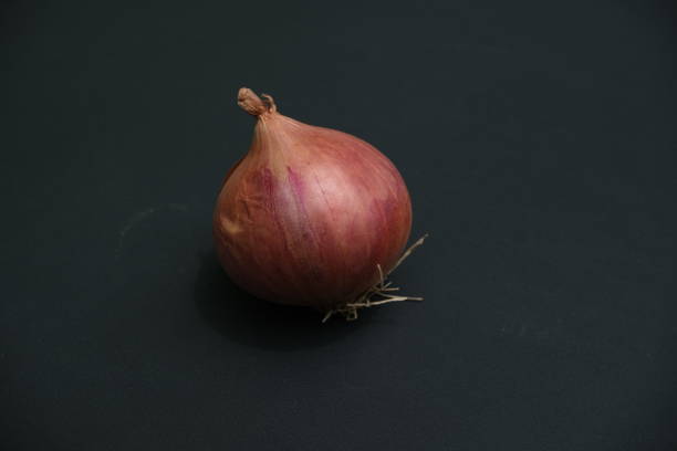 istock Single Onion on black background with roots 1569086298