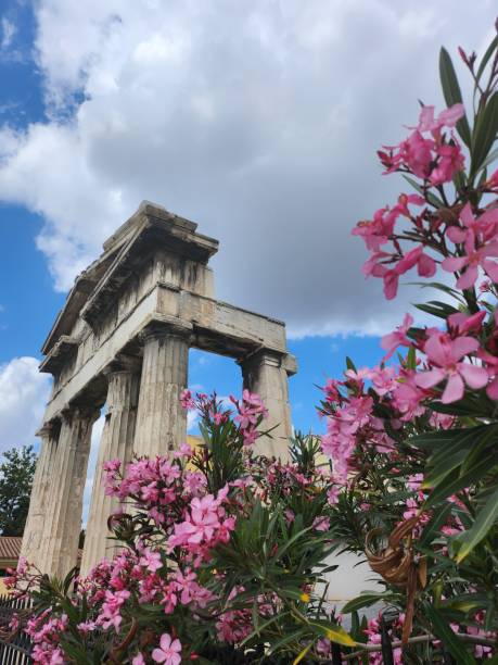 istock Athens Ruins Pink Flowers 1569087989