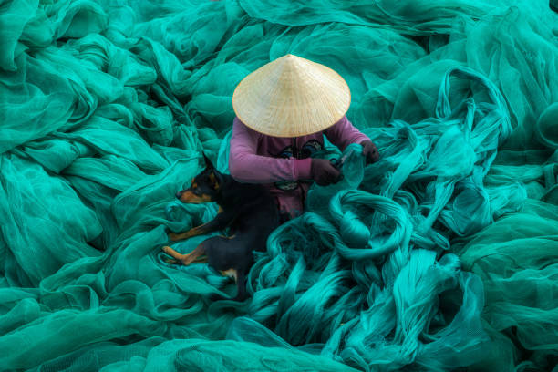 istock Woman knitting net by a dog 1569102715