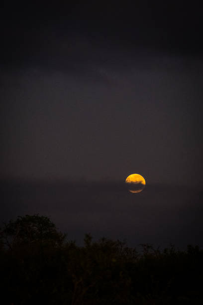 istock The Moon in the Kruger National Park 1569111957