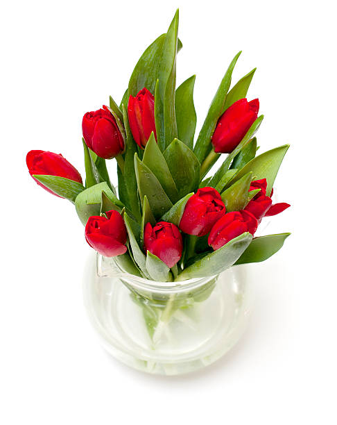 istock red tulips in vase 156912666