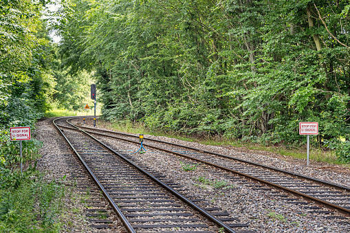 Merging railroad tracks in a forest at the Nærum railroad line, which is a commuters line north of central Copenhagen