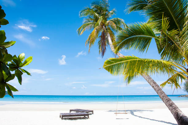 istock beach landscape background for summer travel 1569157535