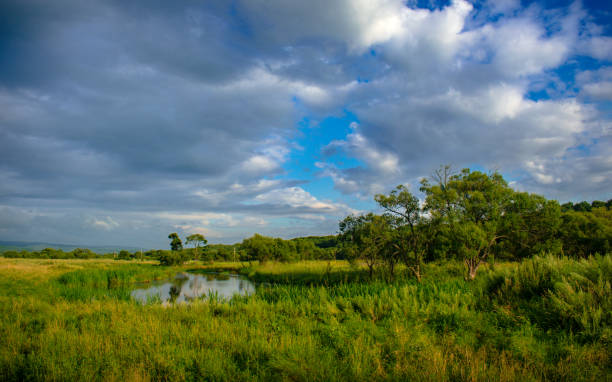 istock Landscape with thunderclouds over a green field and hills 1569165105