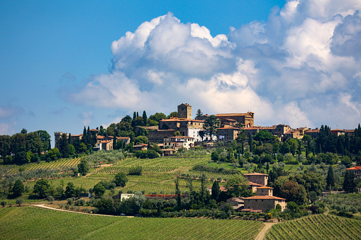 Landscape with vinyards in Chianti region near Panzano in Tuscany, Italy.