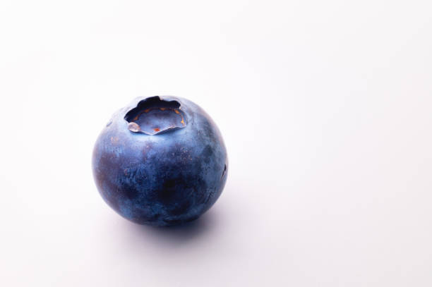 Blueberries on a white background. One juicy fresh blueberry lies sideways stock photo
