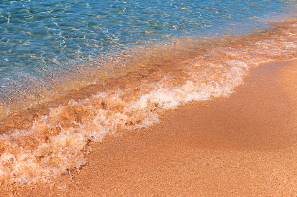 istock Soft sea wave on a sandy beach. Calm soft waves roll foam on the golden sandy beach 1569184077