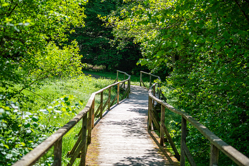 Wooden bridge in the forest that leads over a small stream photographed in summer