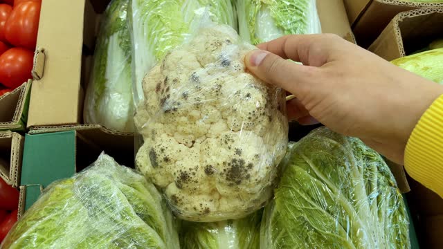 Spoiled cauliflower with mold in a hypermarket. Selective focus