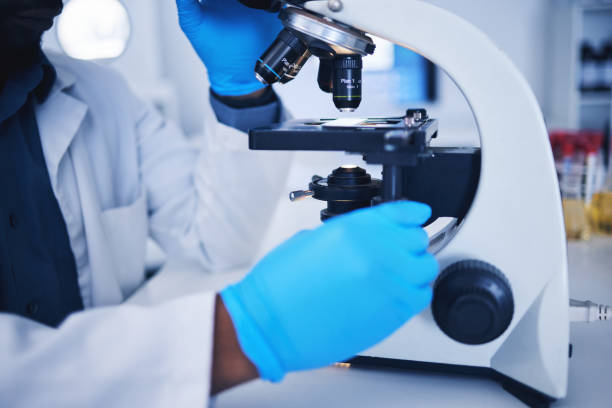 istock Science, microscope and hands of a scientist in a lab doing research, experiment or test. Innovation, biotechnology and female scientific researcher working with equipment to examine in a laboratory. 1569219249